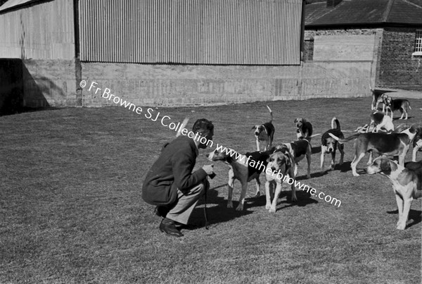 AT JIGGINSTOWN KENNELS